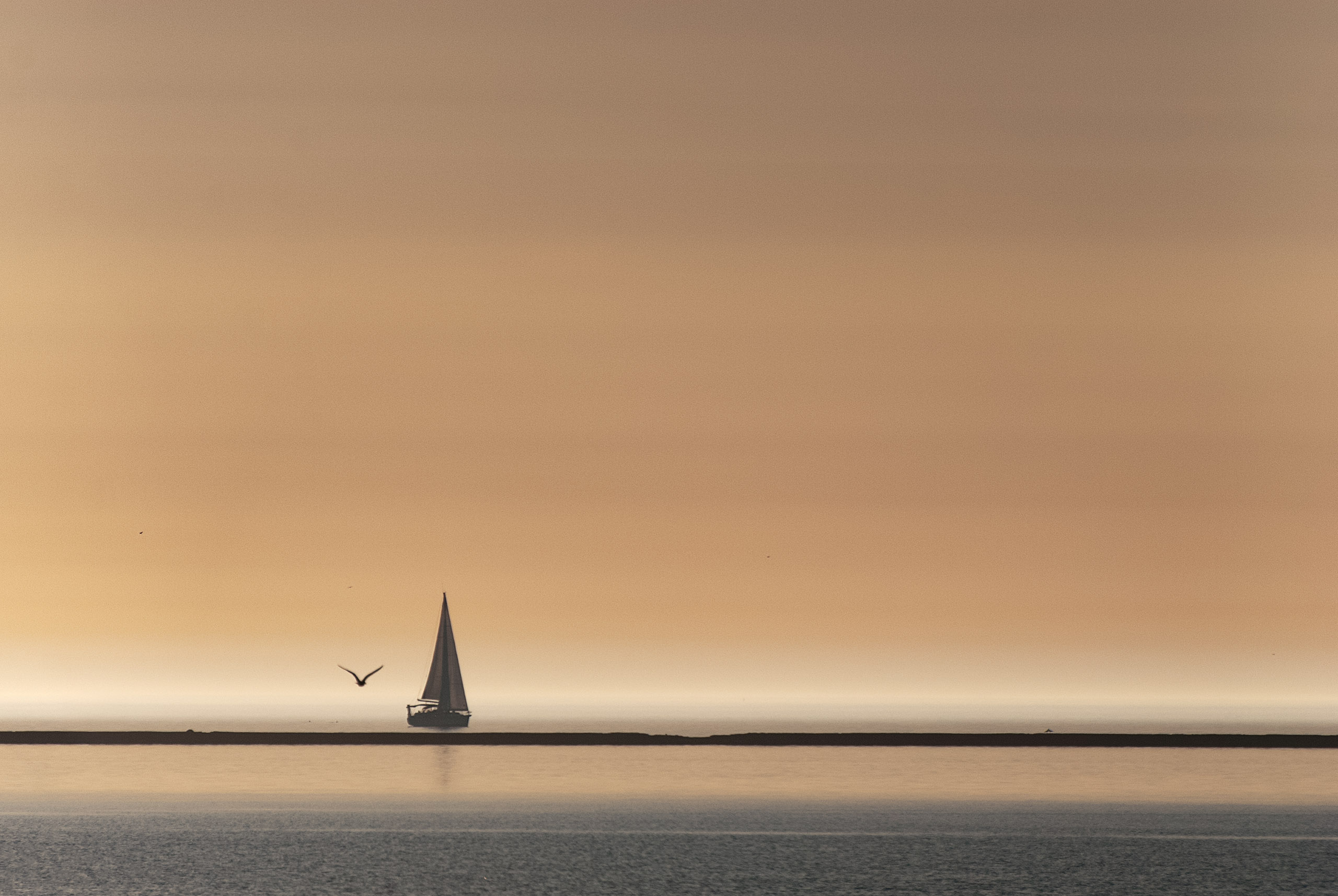 Elvis Pažin Fotohedonist